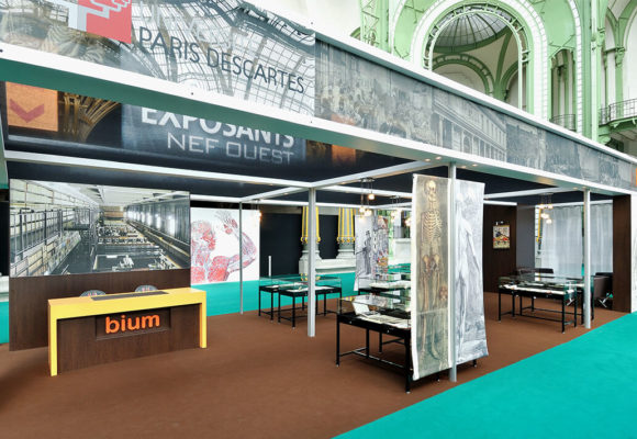 Stand Salon Livre Ancien – BIUM